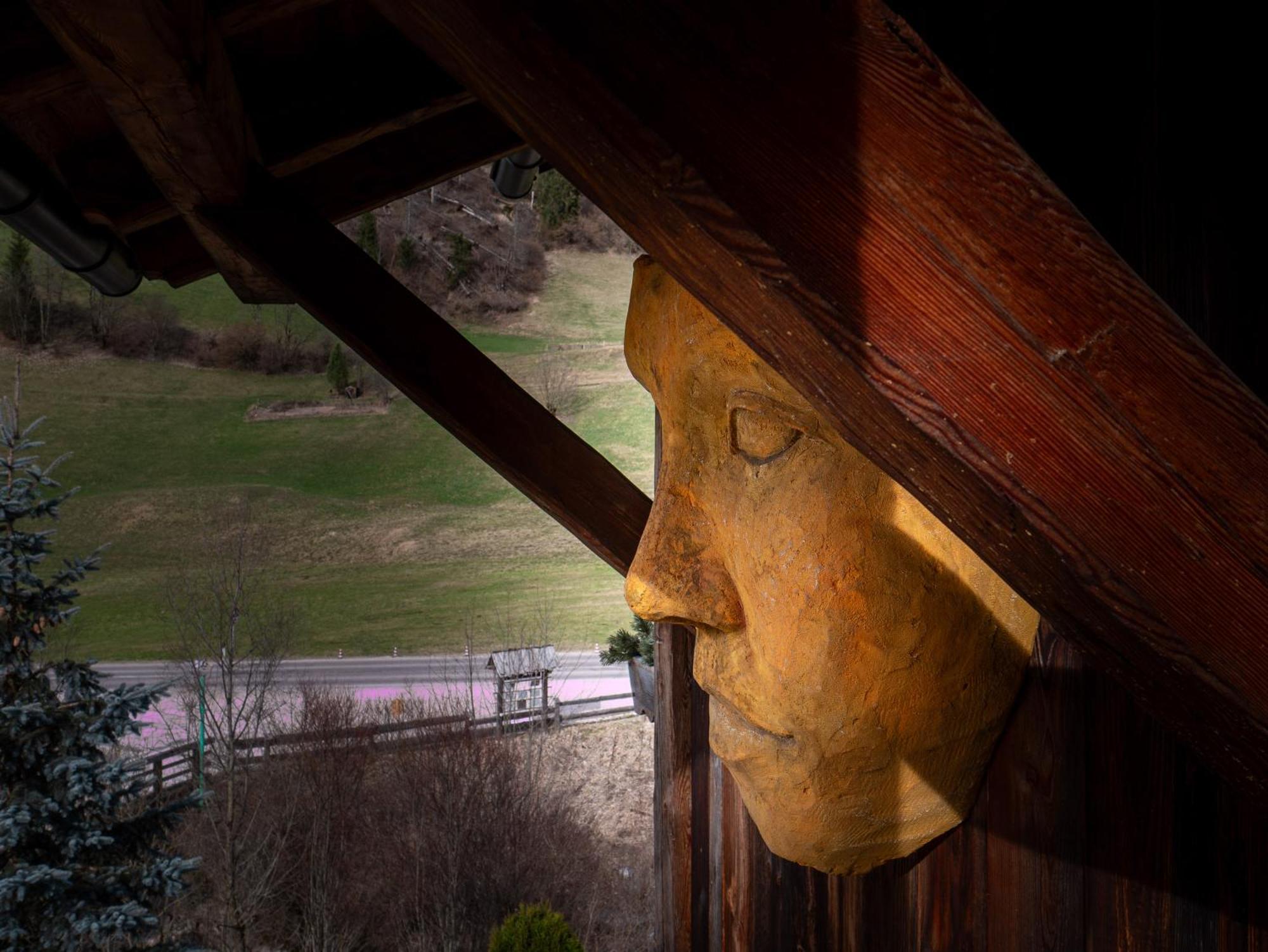 Alpine Mountain Chalet San Vigilio Di Marebbe Exterior photo